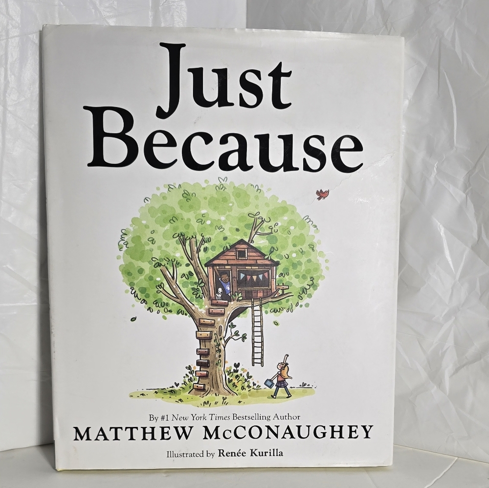Just Because by Matthew McConaughey - Illustrated Kids Book